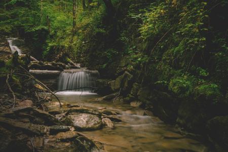 Wild Waterfall