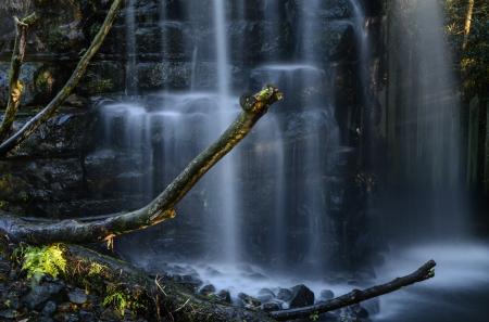 Wild Waterfall