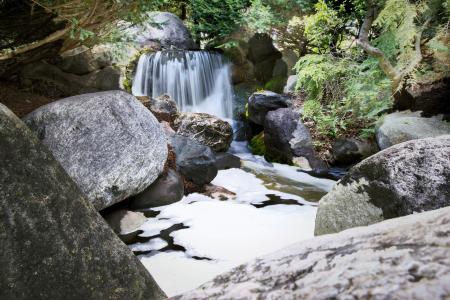 Wild Waterfall