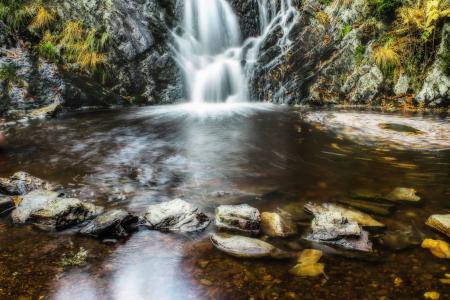 Wild Waterfall