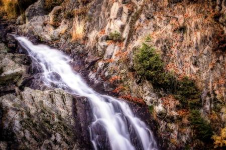 Wild Waterfall