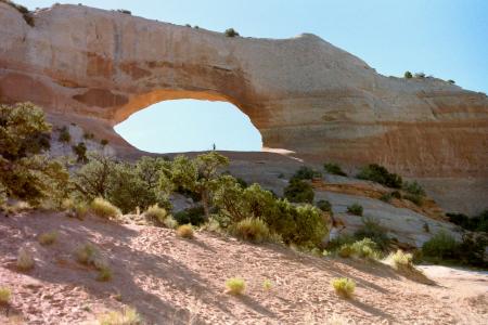 Wilson's Arch