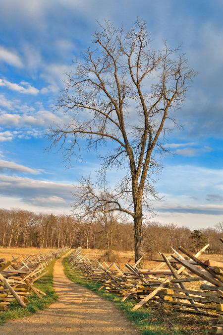 Winding Gettysburg Trail - HDR