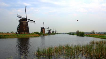 Windmill in Rotterdam