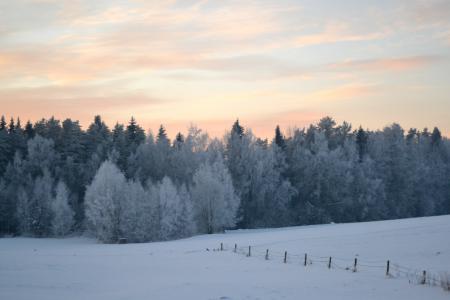 Winter evening in countryside