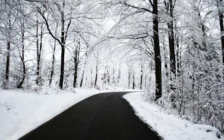 Winter Road