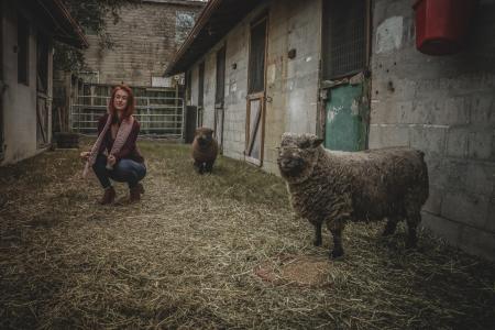 Woman Doing Squat Near the Gray Sheep