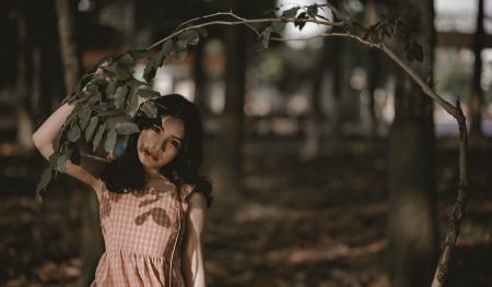 Woman Holding Green Leafed Tree