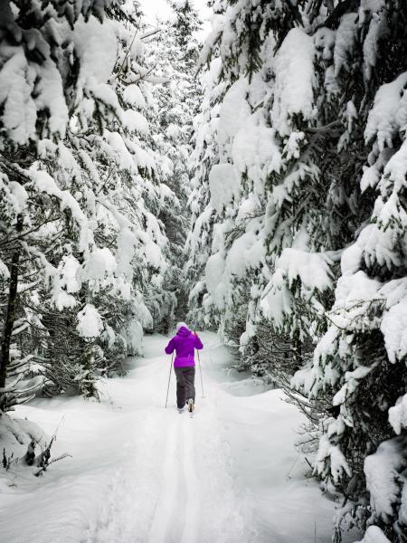 Woman on Snow Ground in the Forest With Rods