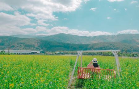Woman Sits on Brown Wooden Swing Bench on Yellow Petaled Flower Field