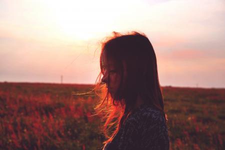 Woman Standing on Red Flower Field during Daytime
