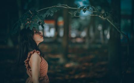 Woman Under Green Leaf Tree