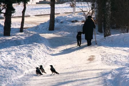 Woman walking with dog