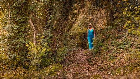 Woman Wearing Blue Jumpsuit Walking in Forest