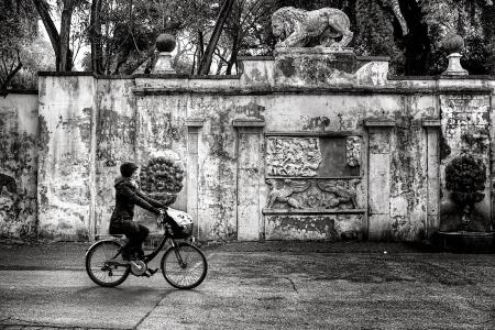 Woman Wearing Jacket and Pants Riding on Bicycle Near Concrete Wall Greyscale Photo