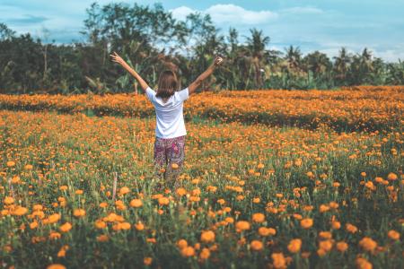 Woman Wearing White Shirt and Pink Floral Pants Standing at the Center of Yellow Flower Field