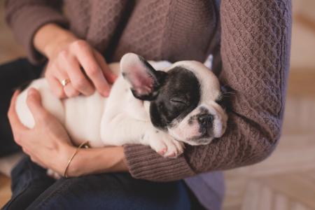 Woman with a puppy