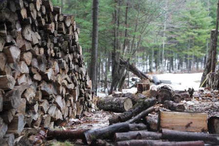 Wood Cutting