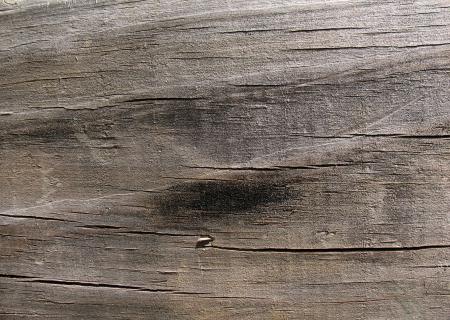 Wood Texture