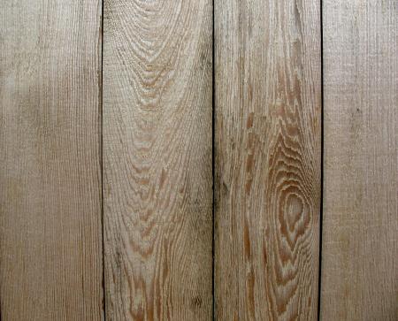 Wood Texture