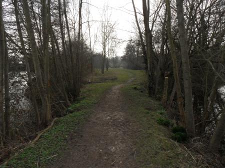 Wooded path between the lakes