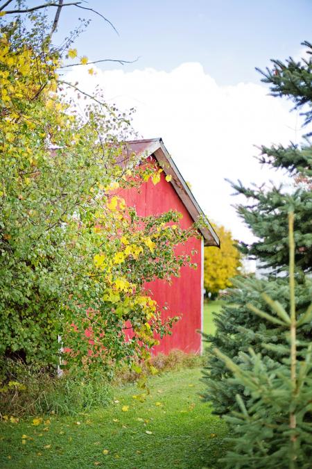 Wooden Barn