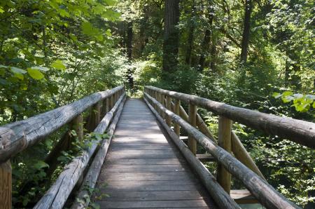 Wooden Bridge