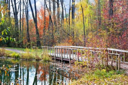 Wooden Bridge