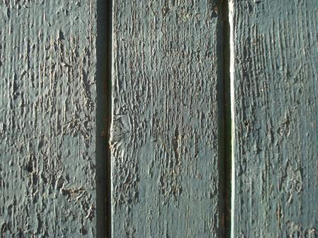 Wooden door texture