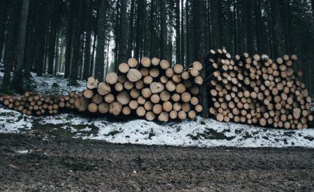 Wooden Logs