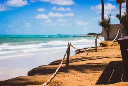 Wooden Posts Near Ocean Water