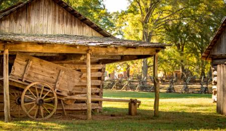 Wooden Structure in Park