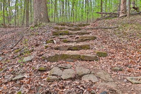 Woodend Sanctuary Steps - HDR