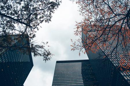 Worms Eye View of High Rise Buildings