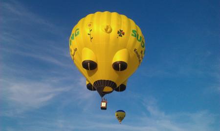 Yellow and Black Hot Air Balloons on Mid Air Under White Clouds Blue Sky during Daytime