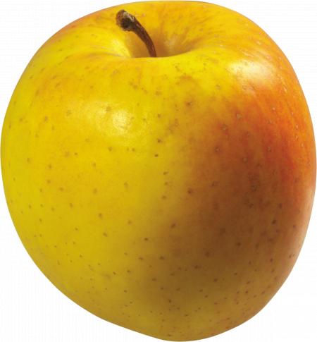 Yellow apple