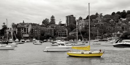 Yellow boat in Double Bay