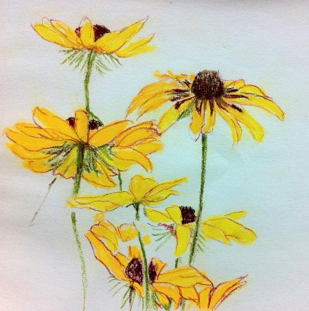 yellow flowers sketch