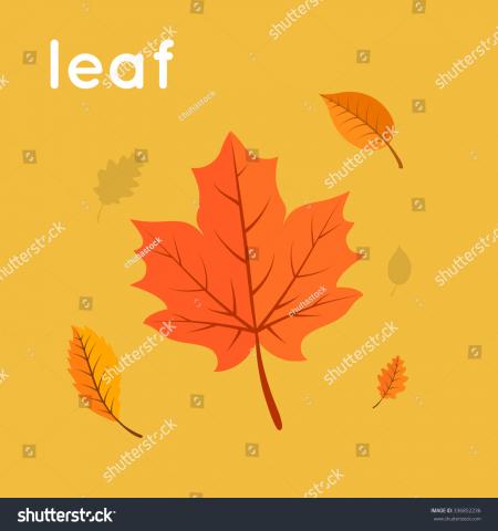 Yellow Leaf Illustration