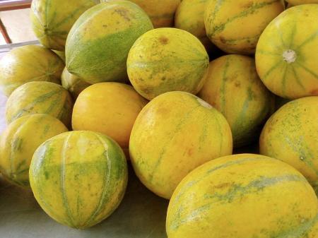 Yellow Melons