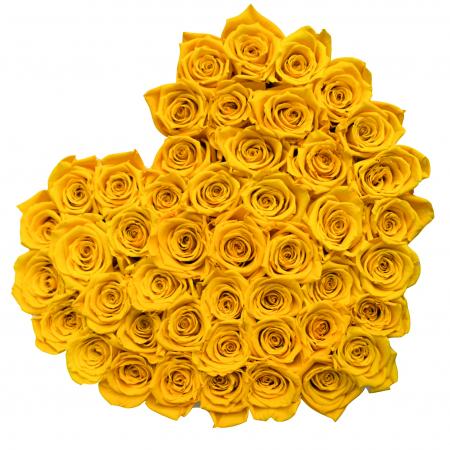 Yellow Rose