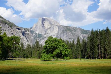 Yosemite, CA (Unedited)