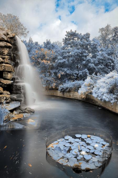 Zoo Waterfall - Winter Blue HDR