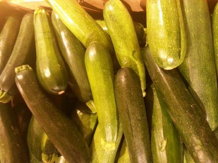 Zucchini Squash