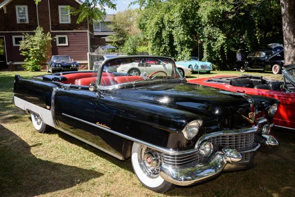 1954 Cadillac Eldorado Convertible