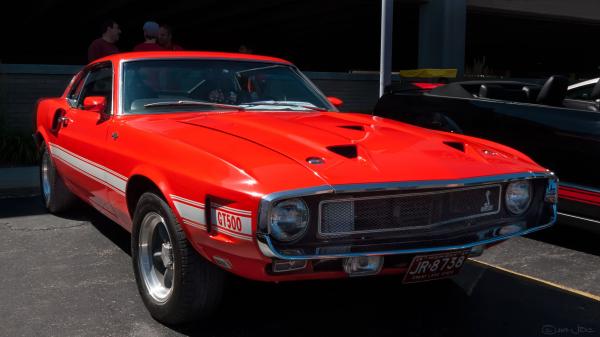 1969 Shelby GT500