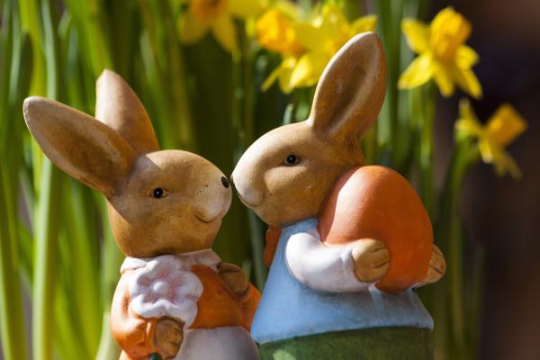 2 Brown Rabbits Smiling At Each Other