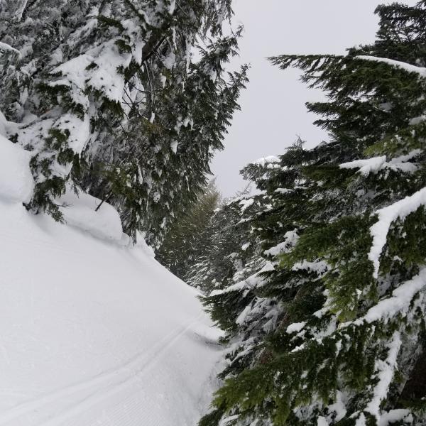 2 mountains in 1! The one I cross-country ski @cypressmtn with the Jackrabbits and the 2nd one the one of Jack Pratt etc! 20180303_125805