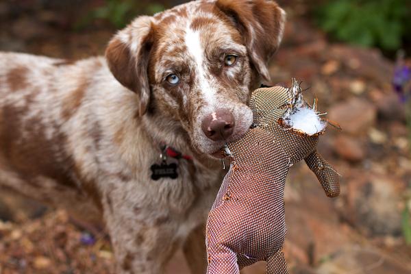 2016/366/121 "Damn, I am Cute"