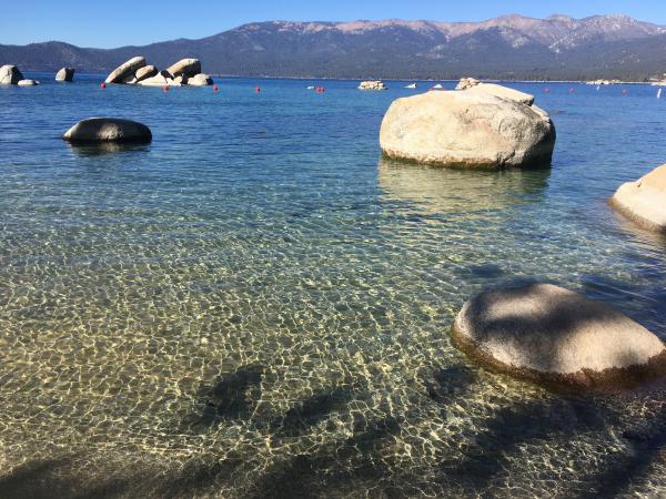 2017/365/304 Crystal Waters